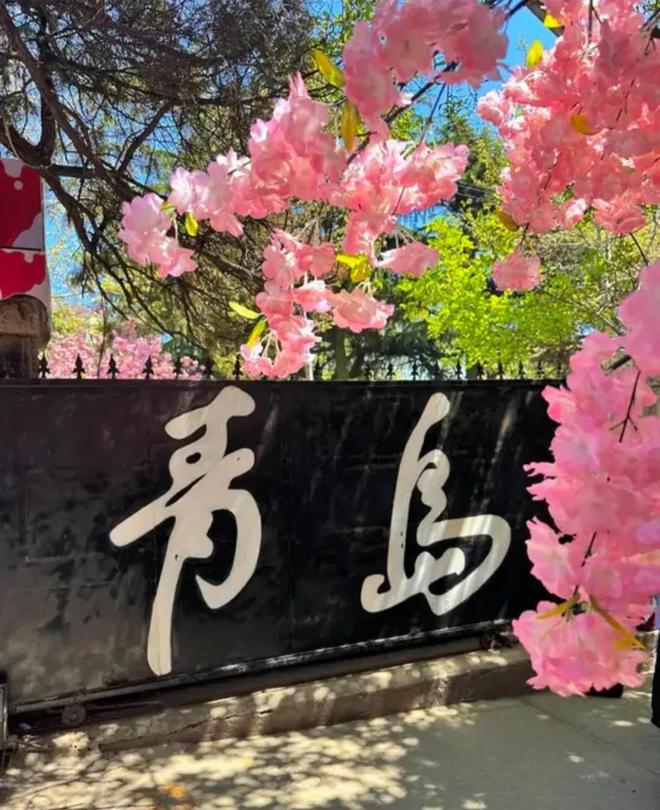 五日游费用计划去青岛旅游五天路线澳门新葡京app青岛私人导游定制(图2)