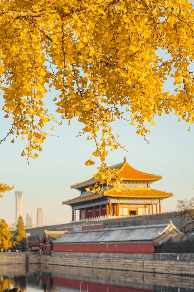 口碑 TOP10！本地人私藏的宝藏旅行社推荐澳门新葡京app2025 北京私人订