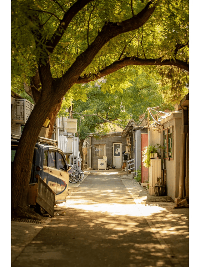 口碑 TOP10！本地人私藏的宝藏旅行社推荐澳门新葡京app2025 北京私人订制旅行社(图3)