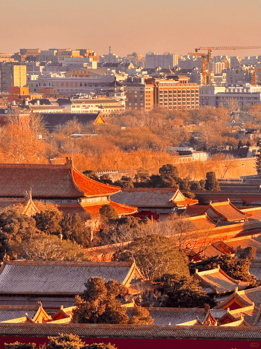 挖到宝！让咱们带娃的旅行轻松又愉快新葡京博彩北京靠谱的私人订制旅行社