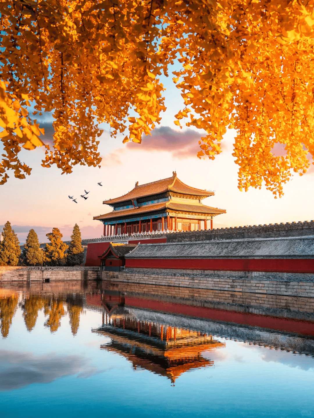 挖到宝！让咱们带娃的旅行轻松又愉快新葡京博彩北京靠谱的私人订制旅行社(图3)