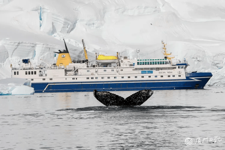 万元！厦门有人提前一年开始安排新葡京价格