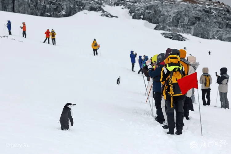 万元！厦门有人提前一年开始安排新葡京价格从10余万元到30(图3)