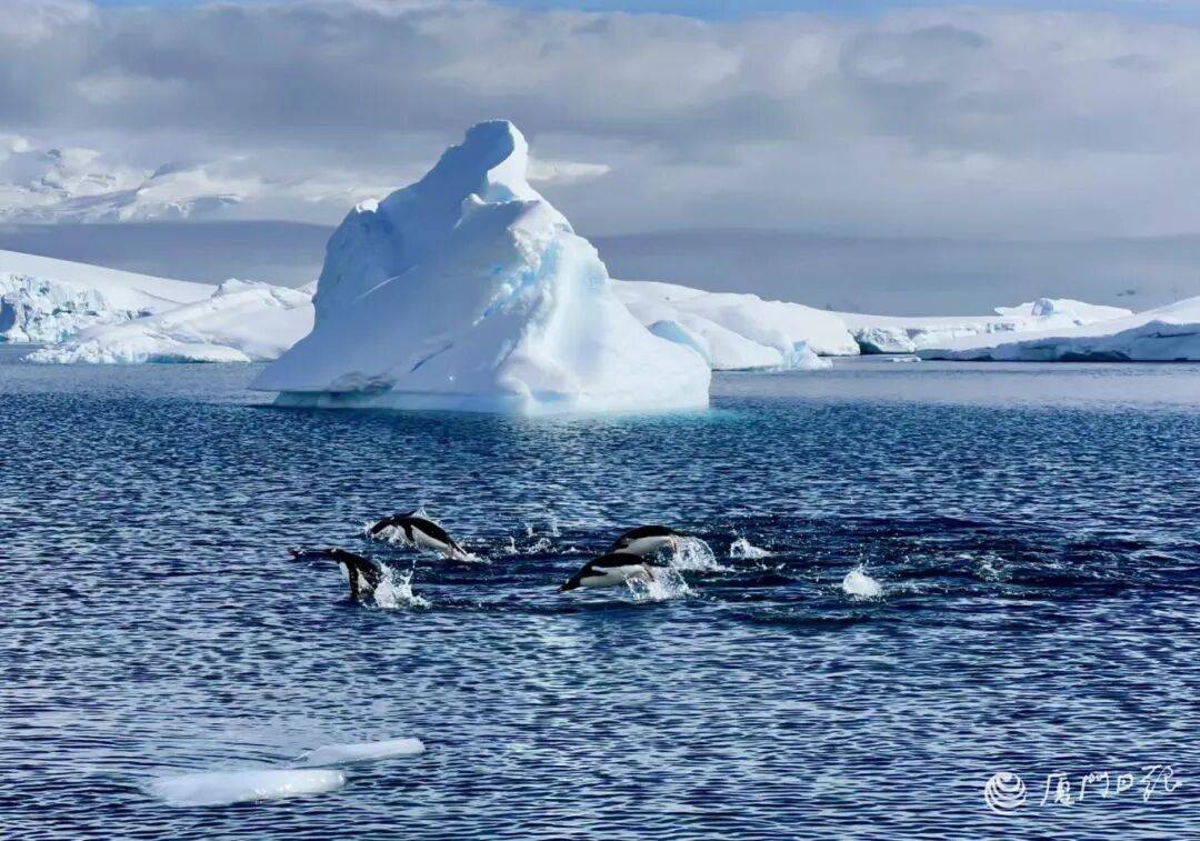 万元！厦门有人提前一年开始安排新葡京价格从10余万元到30(图4)
