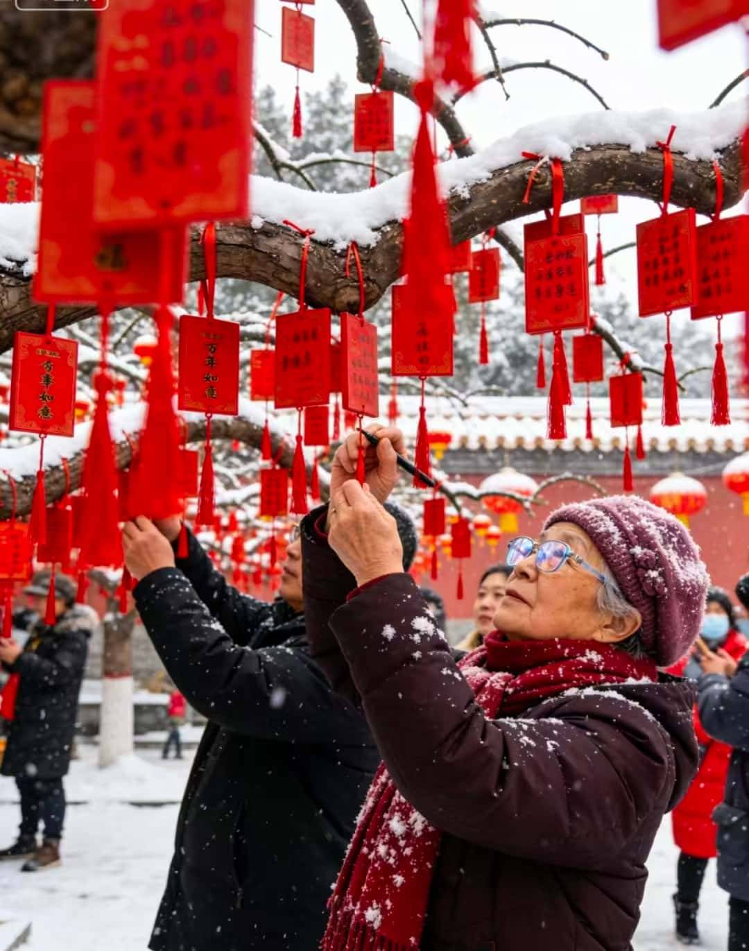 故宫 + 国家博物馆深度游 靠谱避坑 + 高端服务推荐澳门新葡京网站亲测北京五天四晚奢华游！北京东方君悦大酒店(图1)