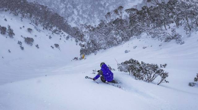光你想都没想过的夏天！澳门新葡京入口滑雪看极(图5)