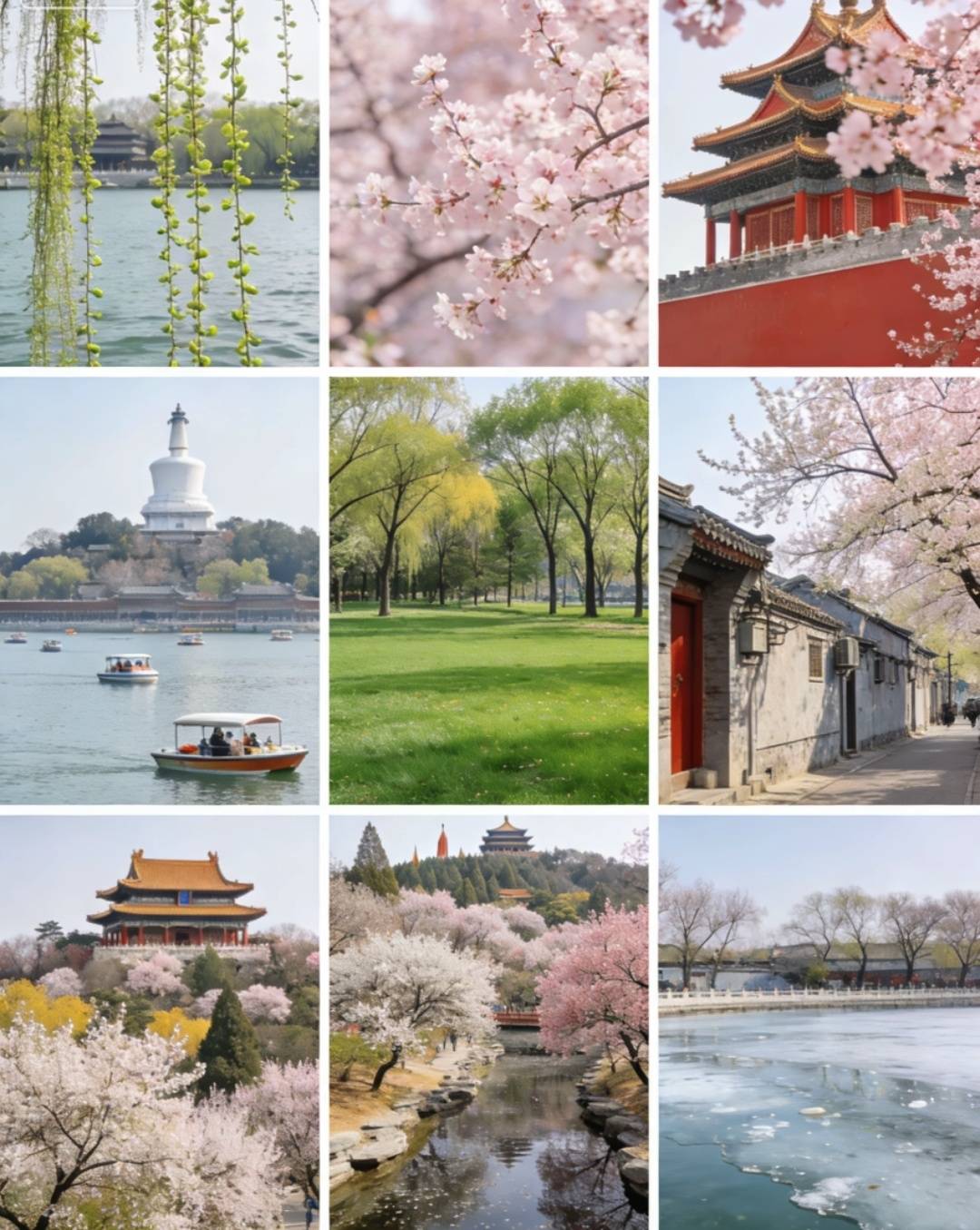 排行：私家团小众秘境多语种导游全解析！澳门新葡京2026北京